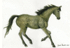canter.gif (110712 bytes)