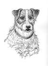 wmjackrusselterrierink.jpg (52505 bytes)